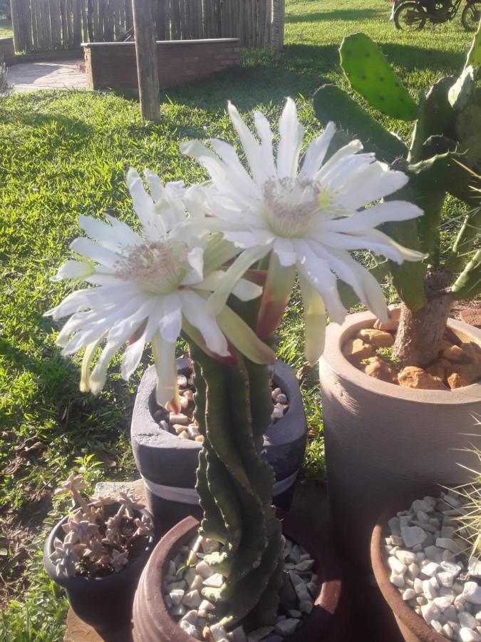 Recanto Das Flores Sao Tome das Letras Exterior photo